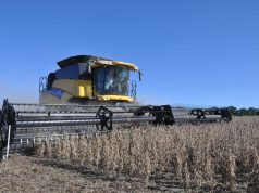 Las lluvias impactaron sobre la actividad agropecuaria en abril