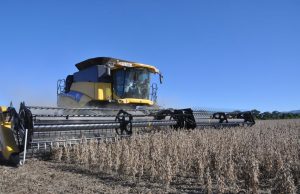 Las lluvias impactaron sobre la actividad agropecuaria en abril