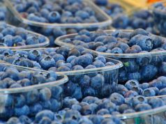 Entre Ríos lideró la exportación de arándanos