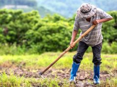 Animales silvestres y trabajo rural: nueva capacitación del Renatre