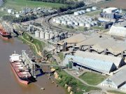 Las exportaciones del agro arrancaron 2026 con cifras récord