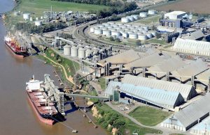 El agro exportó un 18% más y alcanzó un volumen récord