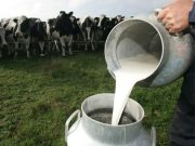 Récord exportador para la lechería argentina