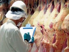 EE.UU. ordenó retirar 13,4 toneladas de carne argentina
