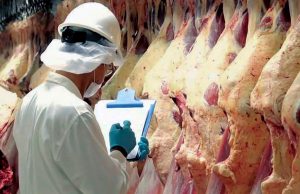 EE.UU. ordenó retirar 13,4 toneladas de carne argentina
