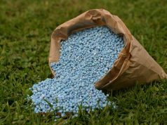 Los warrants marcaron un récord en dólares y pesos en 2025