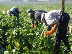 Nuevo incremento en la prestación por desempleo