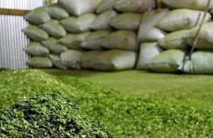 El INYM dejará de intervenir en precios y producción