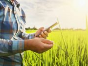 El agro duplicó el financiamiento digital de insumos durante 2025