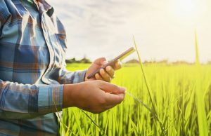 El agro duplicó el financiamiento digital de insumos durante 2025