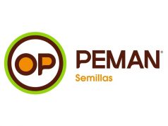 Academia Peman: cómo aprovechar la diversidad de ambientes
