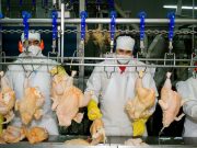 El pollo ya lidera el consumo de carne en el país