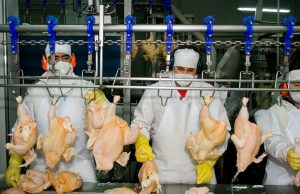 El pollo ya lidera el consumo de carne en el país