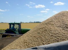 El Inase utilizará IA para verificar variedades de arroz