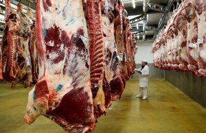 Actualizan los criterios de manejo previo a la faena