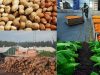 Nuevo récord exportador para las economías regionales