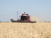 El agro impulsó la mejora de la actividad económica en noviembre