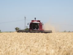 El agro impulsó la mejora de la actividad económica en noviembre