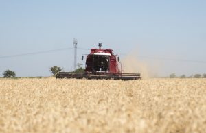 El agro impulsó la mejora de la actividad económica en noviembre