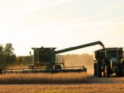 Leve retroceso mensual en la actividad agropecuaria en marzo