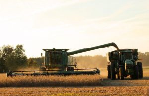 Leve retroceso mensual en la actividad agropecuaria en marzo