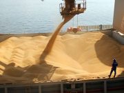 Refuerzan controles para malezas en exportaciones agrícolas