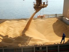 Refuerzan controles para malezas en exportaciones agrícolas