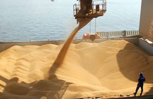 Refuerzan controles para malezas en exportaciones agrícolas