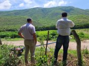 Aplican reducción del IVA en energía para riego