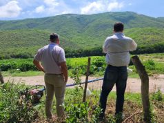 Aplican reducción del IVA en energía para riego