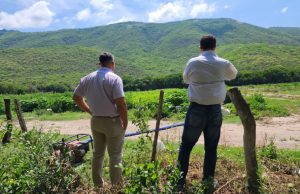 Aplican reducción del IVA en energía para riego