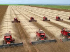 Acsoja 2025: del manejo defensivo a la ofensiva productiva