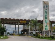 La campaña tabacalera inició con buena calidad y foco externo 🔊