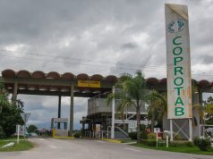 La campaña tabacalera inició con buena calidad y foco externo 🔊