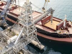 Argentina consolidó un récord en exportaciones agroindustriales