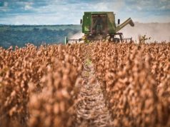 La UE revisa su plan contra la deforestación y flexibiliza su esquema