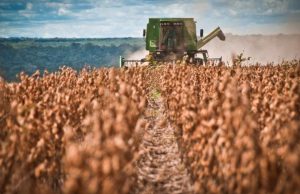 La UE revisa su plan contra la deforestación y flexibiliza su esquema