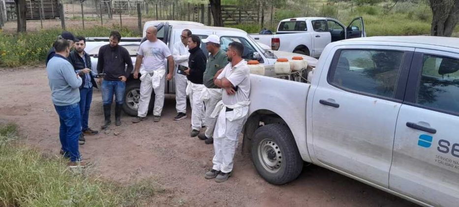 Intensifican control de langostas en C&oacute;rdoba, Catamarca y La Rioja