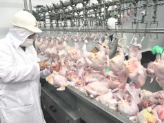 Argentina volverá a exportar carne aviar fresca a la UE