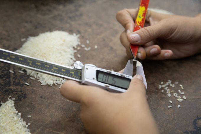 Inase crea nueva categor&iacute;a para asegurar calidad de semillas