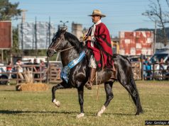 Comienza el Concurso Nacional de Caballos Peruanos de Paso