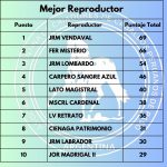 resultado peruanos 4