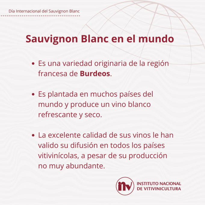 7 de mayo: día internacional Sauvignon Blanc