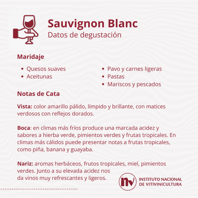 7 de mayo: día internacional Sauvignon Blanc