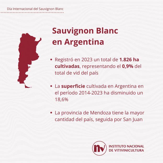 7 de mayo: día internacional Sauvignon Blanc