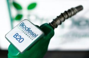 El Gobierno fijó los precios del bioetanol para septiembre