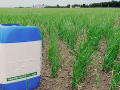 Santiago del Estero: último mes para aplicar herbicidas hormonales