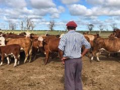 RIMI: incentivos y reforma laboral para el sector agropecuario