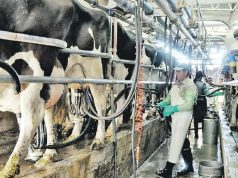 La cadena láctea mejora en volumen y enfrenta nuevos desafíos🔊