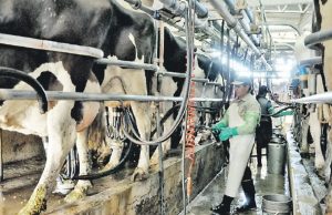 La cadena láctea mejora en volumen y enfrenta nuevos desafíos🔊